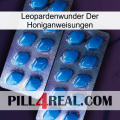 Leopard Miracle Of Honey Instructions viagra2